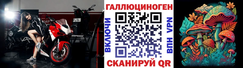 купить  сайты  Александровское  Псилоцибиновые грибы GOLDEN TEACHER 